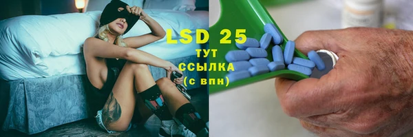 индика Михайловск