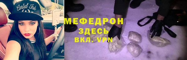индика Михайловск