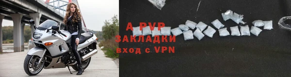 индика Михайловск