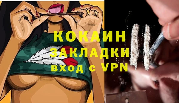 индика Михайловск
