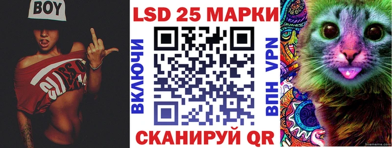 Наркотические марки 1,8мг  где купить наркоту  Зеленоградск 