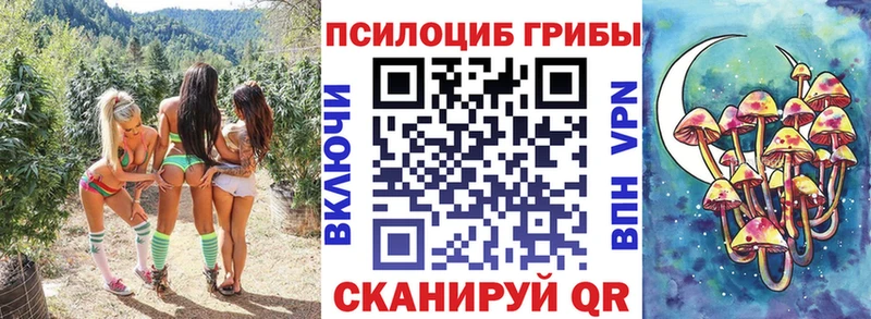 Галлюциногенные грибы Psilocybe Зеленоградск
