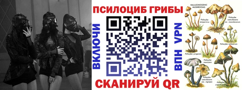 ОМГ ОМГ зеркало  Зеленоградск  Галлюциногенные грибы ЛСД 